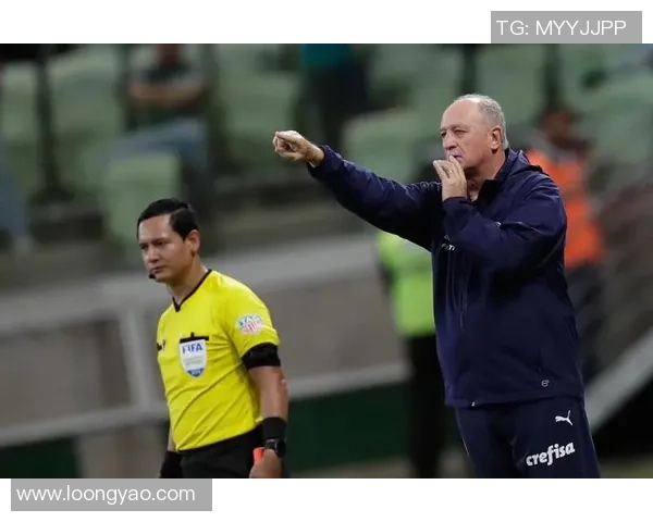 博卡青年与帕尔梅拉斯激战在即谁将赢得南美洲足球巅峰对决