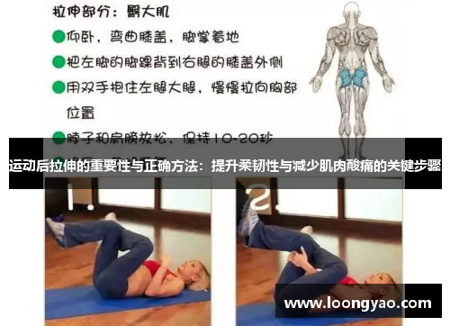 运动后拉伸的重要性与正确方法：提升柔韧性与减少肌肉酸痛的关键步骤