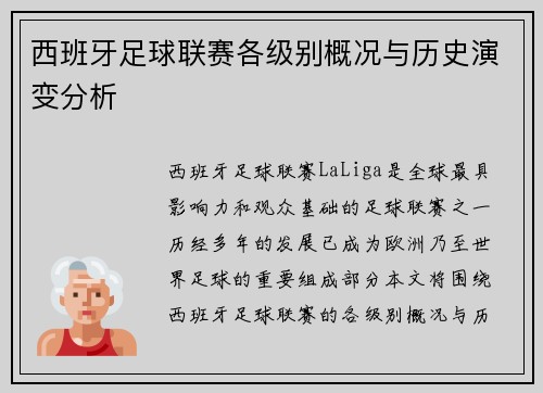 西班牙足球联赛各级别概况与历史演变分析