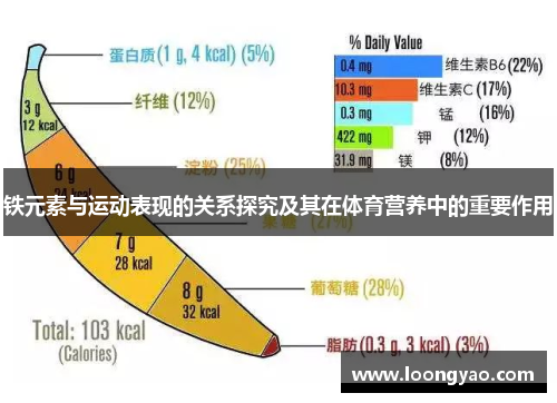 铁元素与运动表现的关系探究及其在体育营养中的重要作用