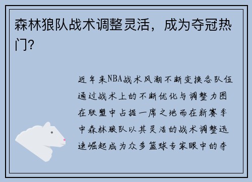 森林狼队战术调整灵活，成为夺冠热门？